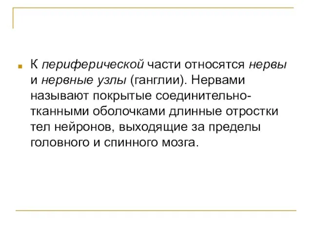 К периферической части относятся нервы и нервные узлы (ганглии). Нервами называют покрытые