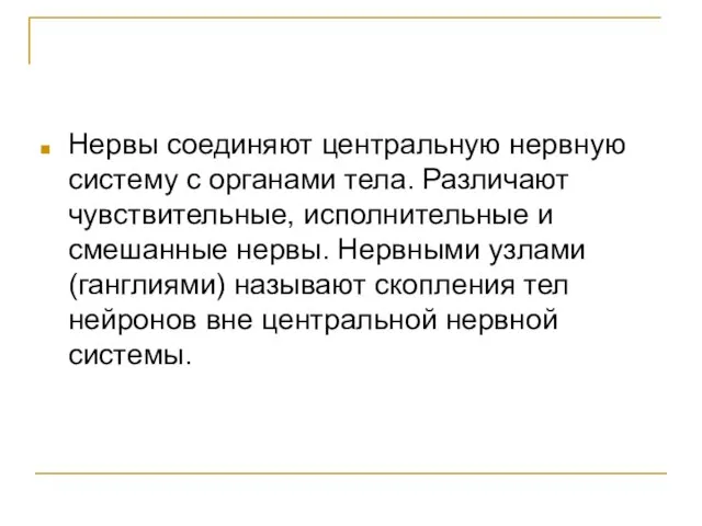 Нервы соединяют центральную нервную систему с органами тела. Различают чувствительные, исполнительные и