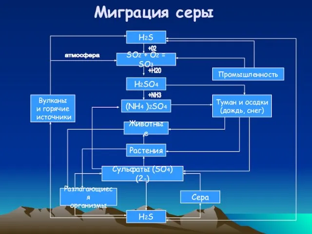 Миграция серы H2S SО2 + O2 = SО3 H2SO4 Животные Растения Сульфаты