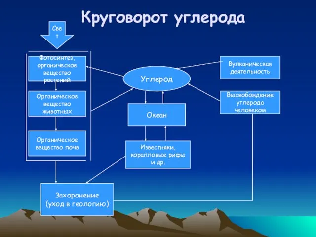 Круговорот углерода Фотосинтез, органическое вещество растений Органическое вещество животных Органическое вещество почв