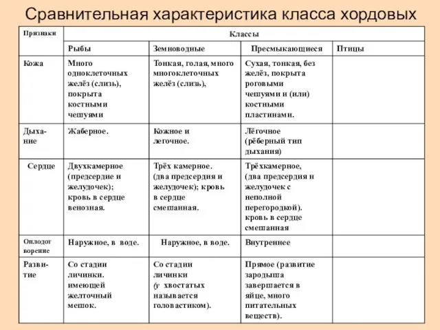 Сравнительная характеристика класса хордовых