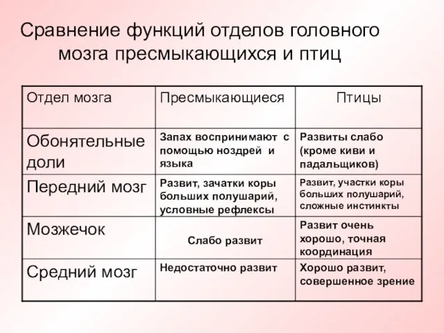 Сравнение функций отделов головного мозга пресмыкающихся и птиц Хорошо развит, совершенное зрение