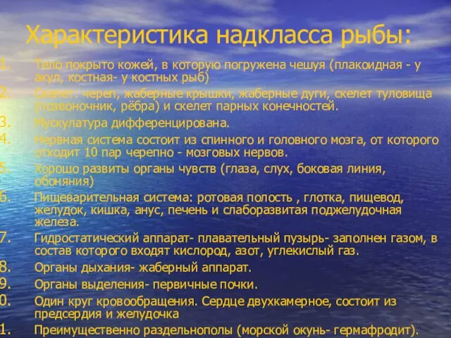 Характеристика надкласса рыбы: Тело покрыто кожей, в которую погружена чешуя (плакоидная -