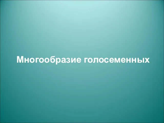 Многообразие голосеменных