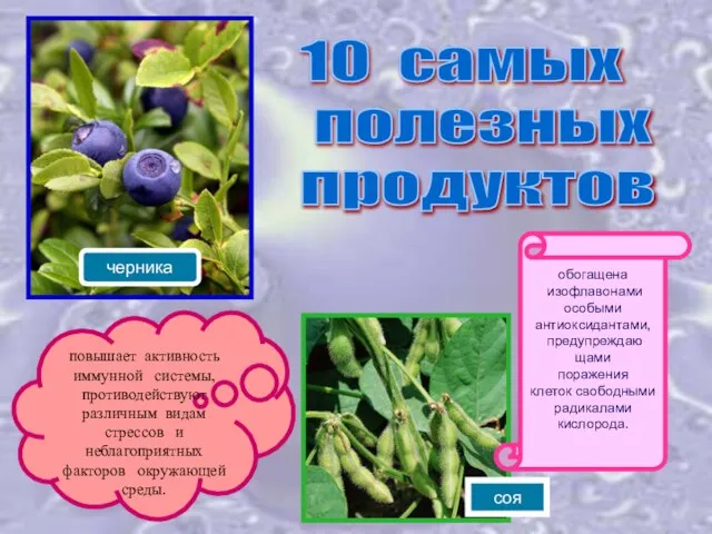 10 самых полезных продуктов черника повышает активность иммунной системы, противодействуют различным видам