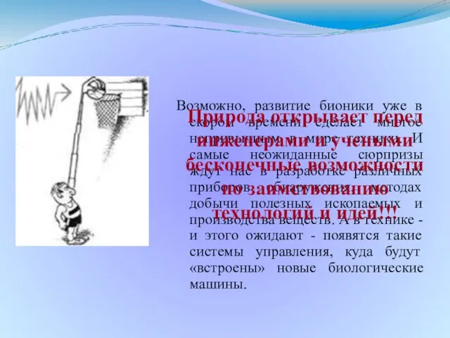 Возможно, развитие бионики уже в скором времени сделает многое непривычным в мире