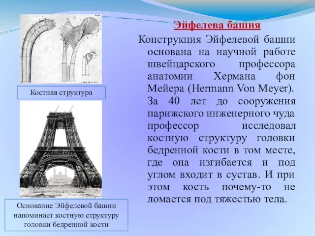 Эйфелева башня Конструкция Эйфелевой башни основана на научной работе швейцарского профессора анатомии