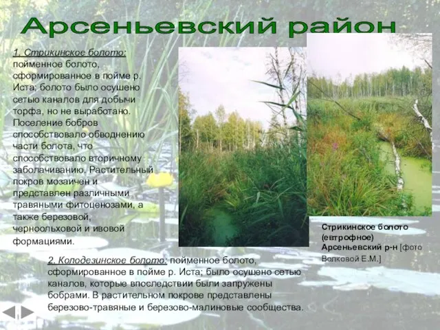 1. Стрикинское болото: пойменное болото, сформированное в пойме р. Иста; болото было