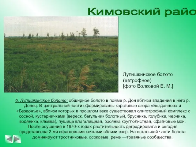 Кимовский район 6. Лупишкинское болото: обширное болото в пойме р. Дон вблизи