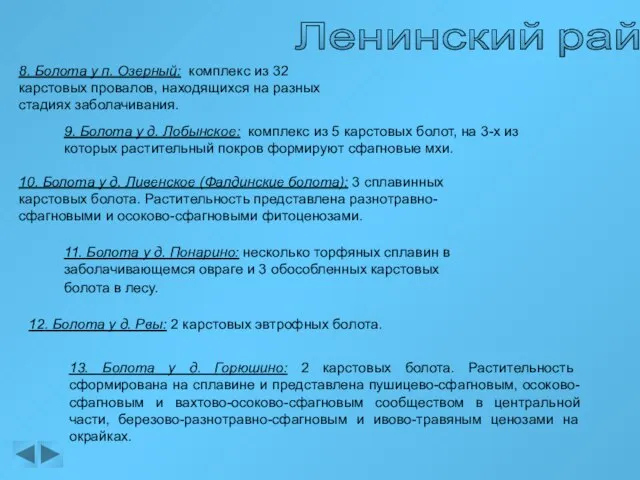 Ленинский район 8. Болота у п. Озерный: комплекс из 32 карстовых провалов,