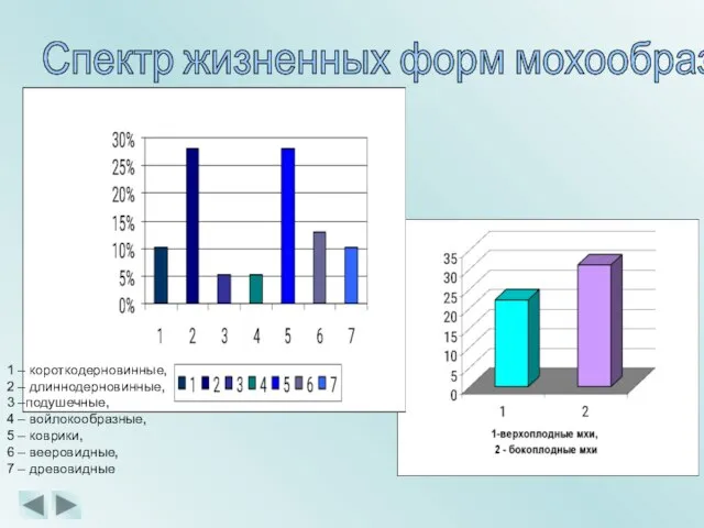 Спектр жизненных форм мохообразных 1 – короткодерновинные, 2 – длиннодерновинные, 3 –подушечные,