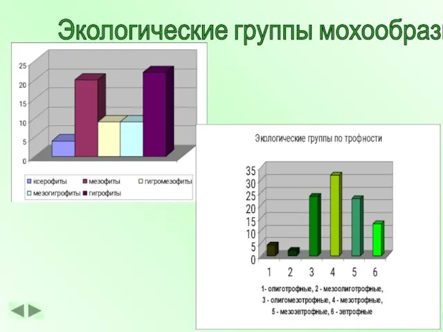 Экологические группы мохообразных