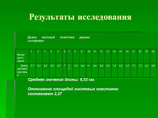 Результаты исследования Длина листовой пластинки дерева составляет: Среднее значение длины: 6,52 см.