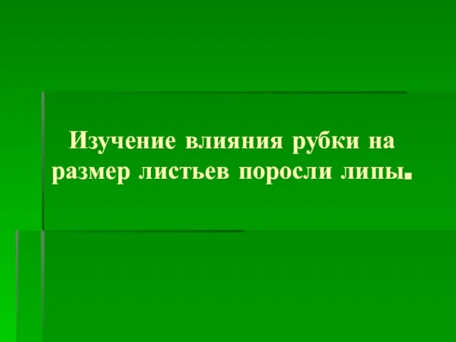 Изучение влияния рубки на размер листьев поросли липы.