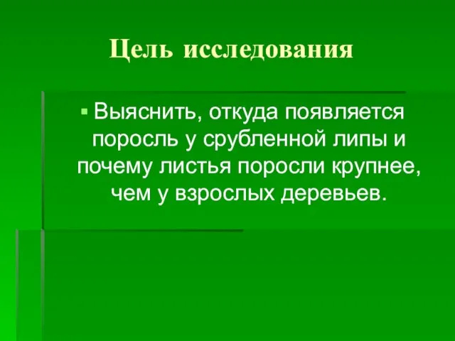 Цель исследования Выяснить, откуда появляется поросль у срубленной липы и почему листья