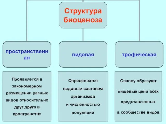 Проявляется в закономерном размещении разных видов относительно друг друга в пространстве Определяется