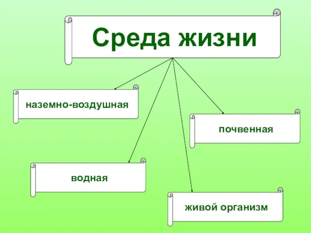 Среда жизни наземно-воздушная почвенная водная живой организм