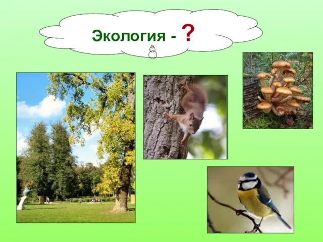 Экология - ?