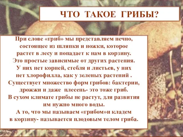 ЧТО ТАКОЕ ГРИБЫ? ЧТО ТАКОЕ ГРИБЫ? При слове «гриб» мы представляем нечно,