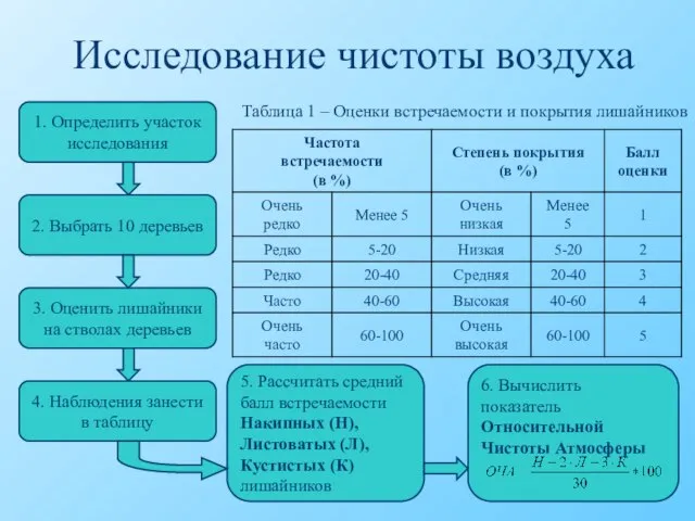 Исследование чистоты воздуха 1. Определить участок исследования 2. Выбрать 10 деревьев 3.