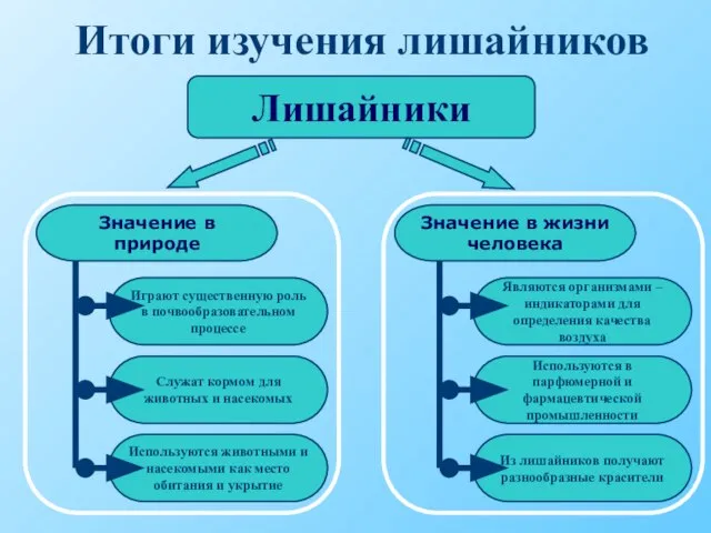 Итоги изучения лишайников Лишайники Значение в природе Значение в жизни человека Используются