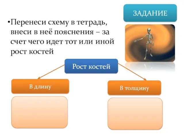 ЗАДАНИЕ Перенеси схему в тетрадь, внеси в неё пояснения – за счет