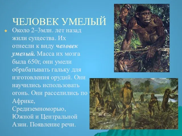 ЧЕЛОВЕК УМЕЛЫЙ Около 2–3млн. лет назад жили существа. Их отнесли к виду