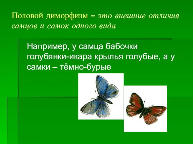 Половой диморфизм – это внешние отличия самцов и самок одного вида Например,