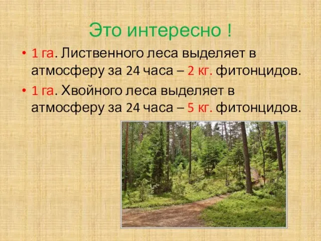 Это интересно ! 1 га. Лиственного леса выделяет в атмосферу за 24