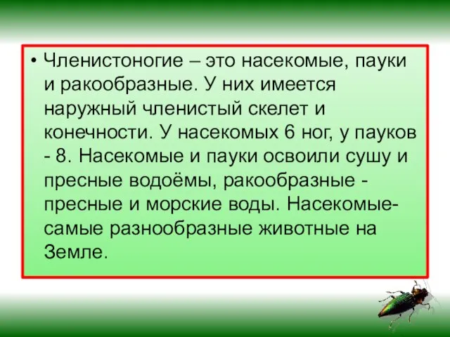 Членистоногие – это насекомые, пауки и ракообразные. У них имеется наружный членистый