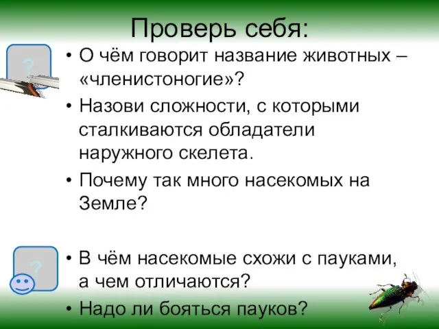 Проверь себя: О чём говорит название животных – «членистоногие»? Назови сложности, с