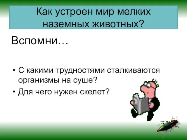 Как устроен мир мелких наземных животных? Вспомни… С какими трудностями сталкиваются организмы