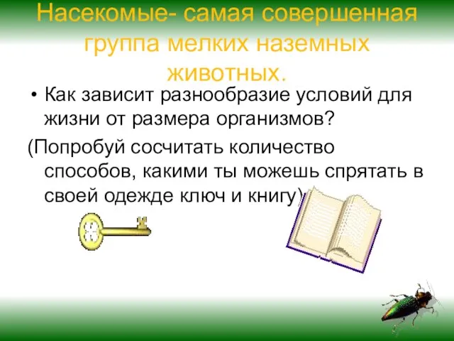 Насекомые- самая совершенная группа мелких наземных животных. Как зависит разнообразие условий для