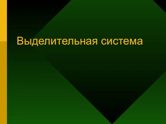 Выделительная система