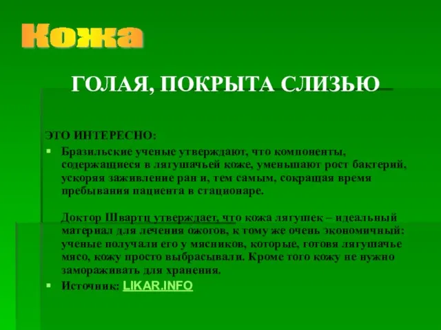 ЭТО ИНТЕРЕСНО: Бразильские ученые утверждают, что компоненты, содержащиеся в лягушачьей коже, уменьшают