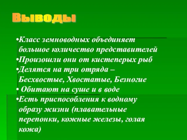 Выводы Класс земноводных объединяет большое количество представителей Произошли они от кистеперых рыб