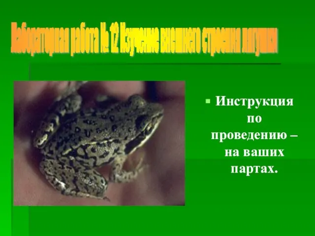 Инструкция по проведению – на ваших партах. Лабораторная работа № 12 Изучение внешнего строения лягушки