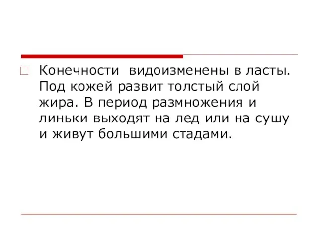 Конечности видоизменены в ласты. Под кожей развит толстый слой жира. В период