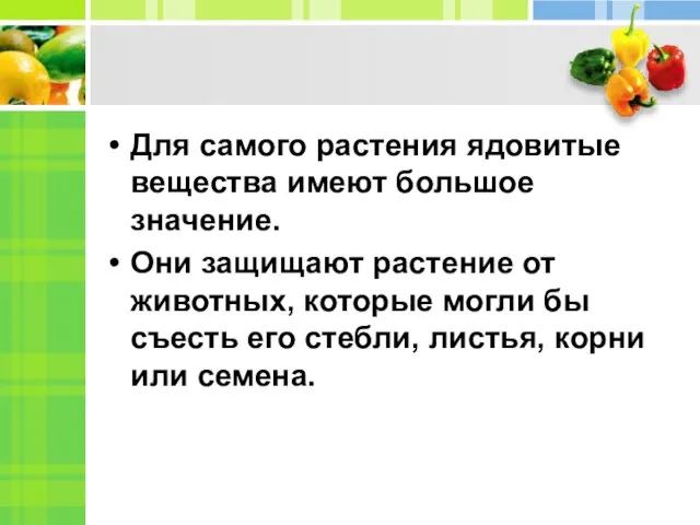 Для самого растения ядовитые вещества имеют большое значение. Они защищают растение от