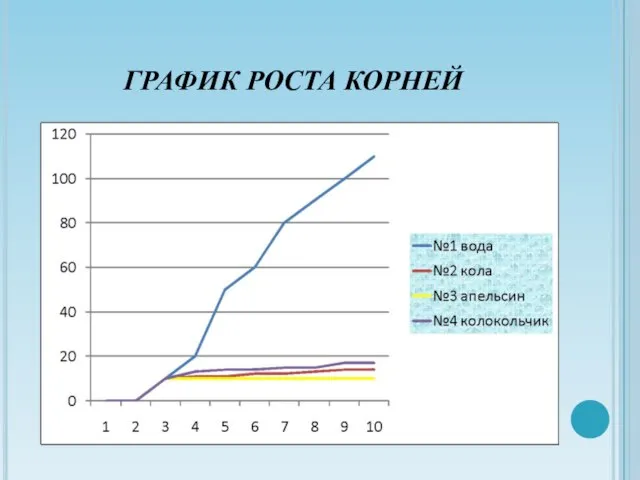 ГРАФИК РОСТА КОРНЕЙ