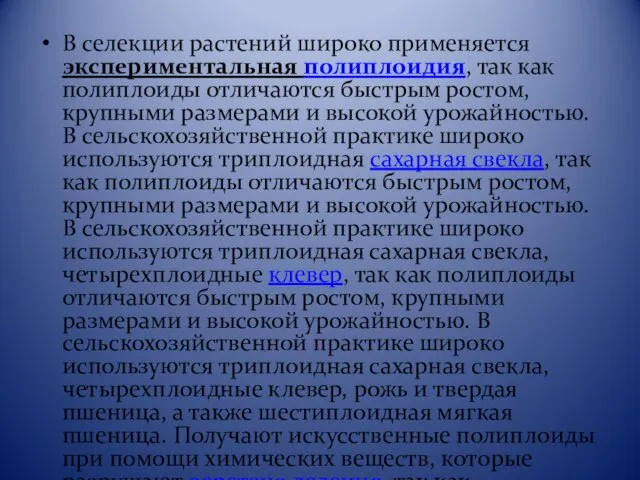 В селекции растений широко применяется экспериментальная полиплоидия, так как полиплоиды отличаются быстрым