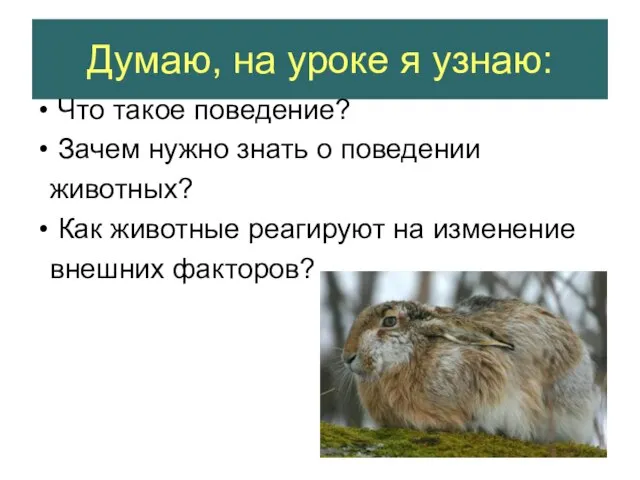 Думаю, на уроке я узнаю: Что такое поведение? Зачем нужно знать о