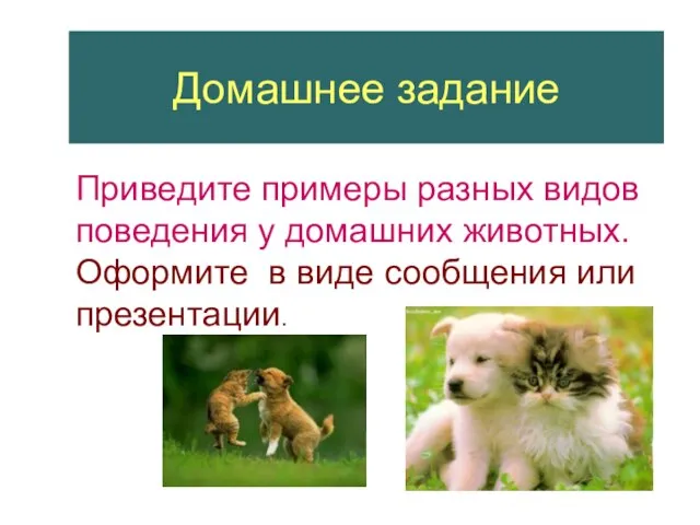 Домашнее задание Приведите примеры разных видов поведения у домашних животных. Оформите в виде сообщения или презентации.
