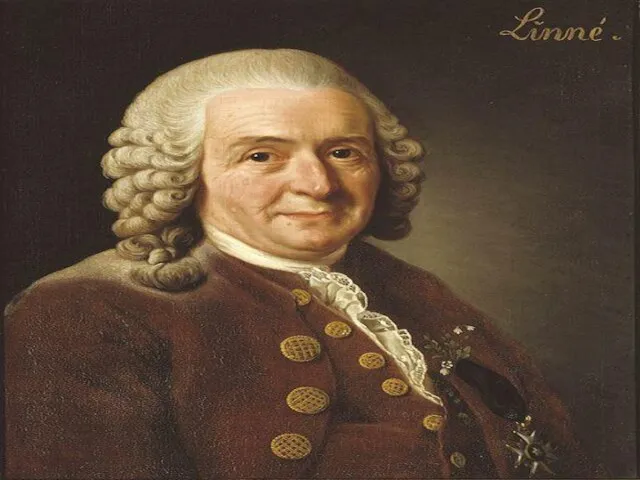 Carl Linnaeus (Carl von Linné) Карл Линней