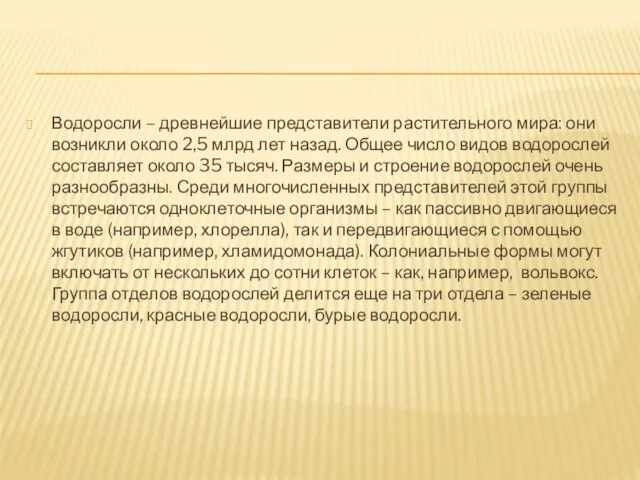 Водоросли – древнейшие представители растительного мира: они возникли около 2,5 млрд лет