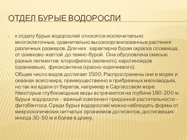 Отдел бурые водоросли к отделу бурых водорослей относятся исключительно многоклеточные, сравнительно высокоорганизованные