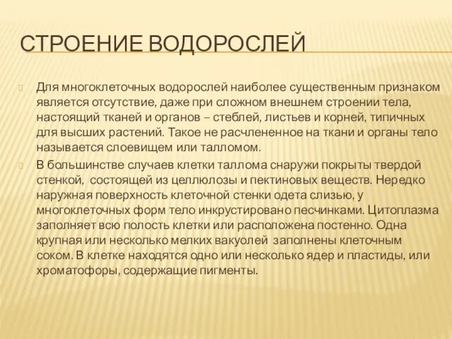 Строение водорослей Для многоклеточных водорослей наиболее существенным признаком является отсутствие, даже при