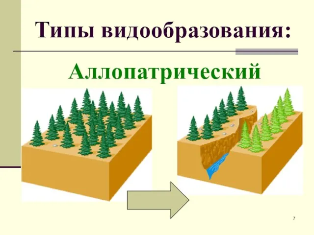 Типы видообразования: Аллопатрический