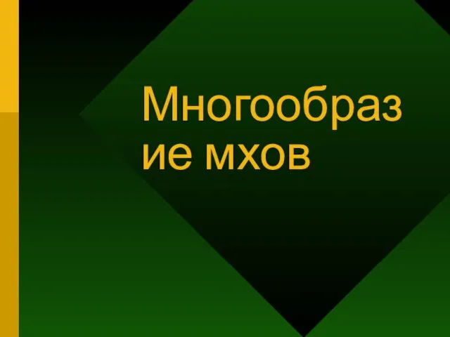 Многообразие мхов