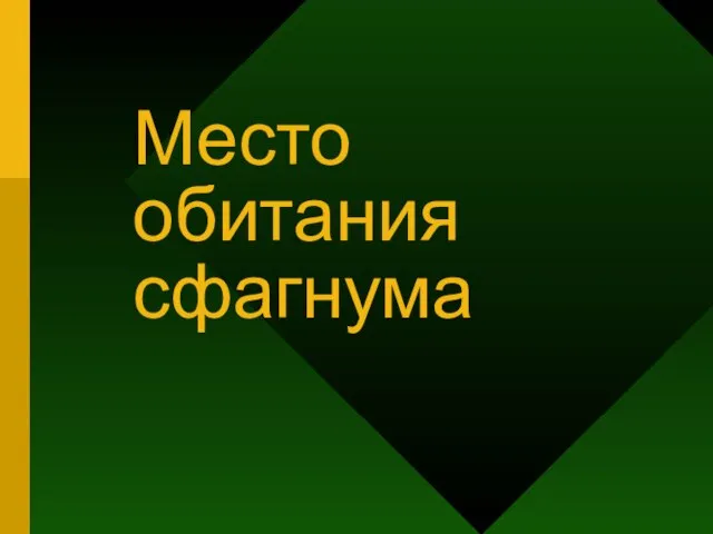 Место обитания сфагнума